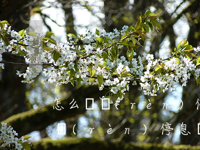 怎么確認(rèn)停息掛賬成功了（怎么確認(rèn)停息掛賬成功）