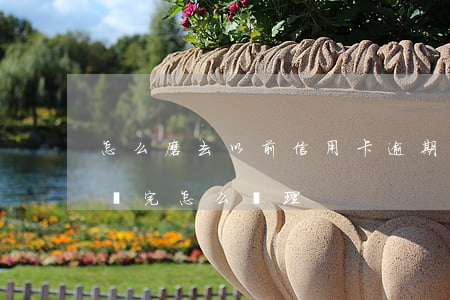 怎么磨去以前信用卡逾期(逾期幾年的信用卡還完怎么處理)