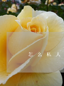 怎么私人借款的(怎么向私人借錢啊)