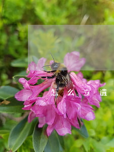 怎么立遺囑