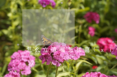 怎么立遺囑(怎樣寫(xiě)遺囑才合法有效)
