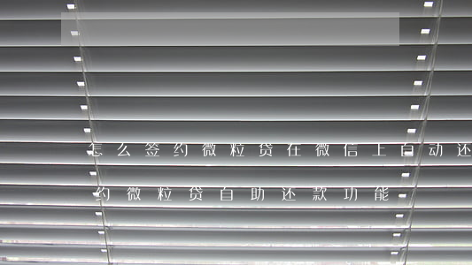 怎么签约微粒贷在微信上自动还款-如何签约微粒贷自助还款功能