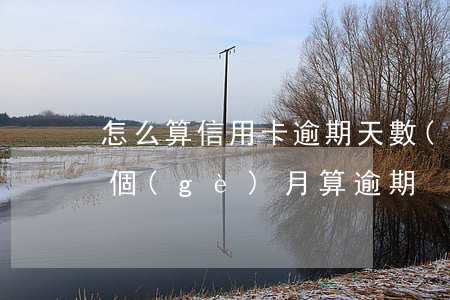 怎么算信用卡逾期天數(shù)（信用卡幾個(gè)月算逾期）
