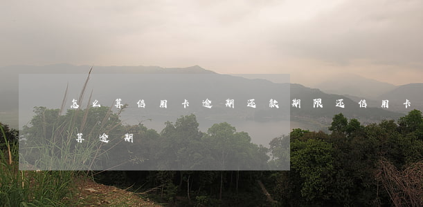 怎么算信用卡逾期还款期限(还信用卡过几天算逾期)