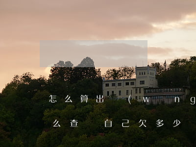 怎么算出網(wǎng)貸到底欠多少錢(怎么查詢自己欠多少網(wǎng)貸)