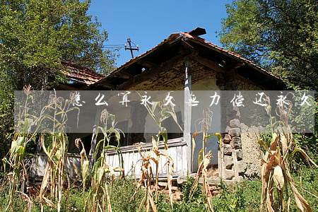 怎么算永久无力偿还(永久无力清偿怎么界定)