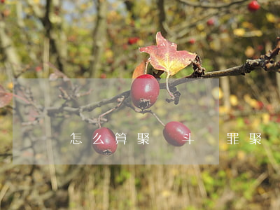 怎么算聚眾斗毆罪(聚眾斗毆如何定罪)