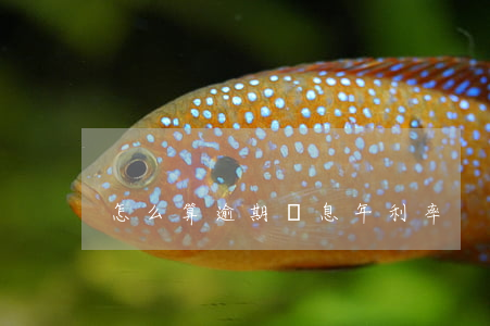 怎么算逾期罰息年利率