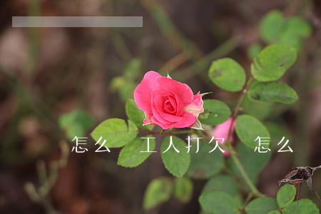 怎么給工人打欠條(怎么給工人打欠條)