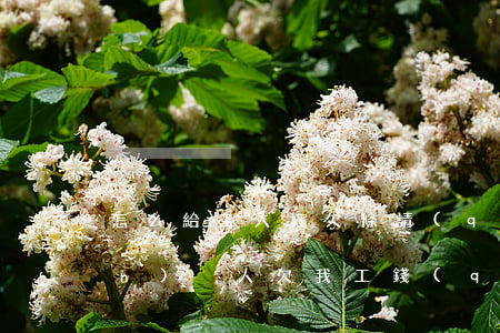 怎么給工人打欠條(請(qǐng)問(wèn)別人欠我工錢(qián)打欠條應(yīng)該怎么寫(xiě)?)