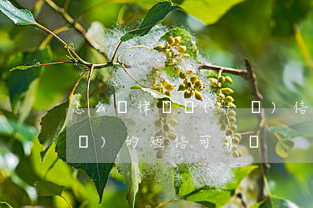 怎么給律師發(fā)信(律師事務所發(fā)的短信可靠嗎)
