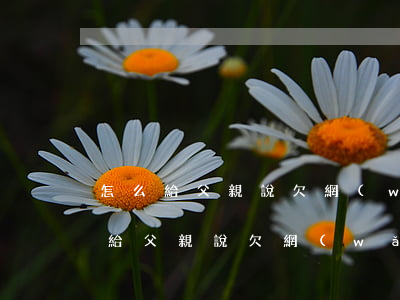 怎么給父親說欠網(wǎng)貸5萬(怎么給父親說欠網(wǎng)貸5萬)