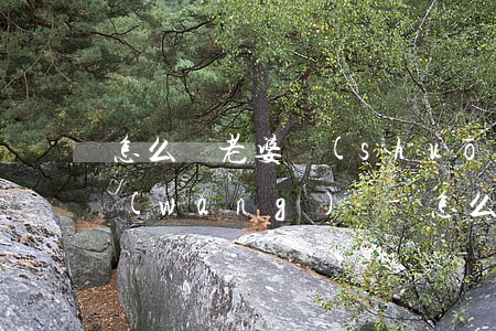 怎么給老婆說(shuō)自己欠了很多網(wǎng)貸-怎么給老婆說(shuō)自己欠了很多網(wǎng)貸呢