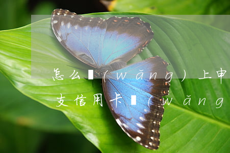 怎么網(wǎng)上申請(qǐng)透支信用卡(網(wǎng)上透支卡怎么辦理)