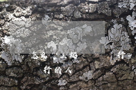 怎么網上起訴網貸銀行-怎么網上起訴網貸銀行的人