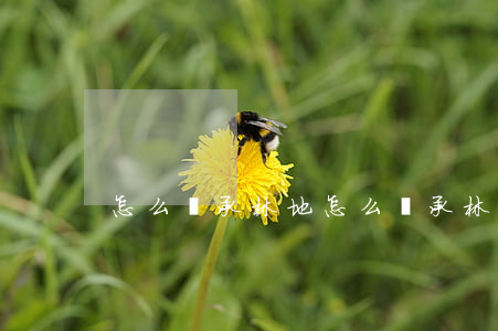 怎么繼承林地(怎么繼承林地)