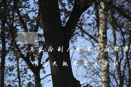 怎么给别人发律师函需要钱吗(委托律师发律师函大概需要多少钱)