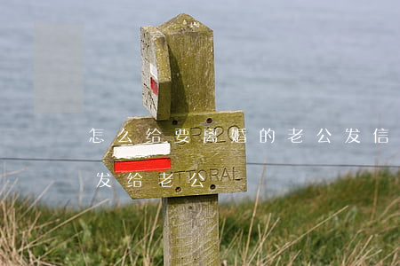 怎么给要离婚的老公发信息(离开的信息怎么发给老公)