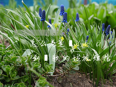 怎么老是發(fā)貸款逾期 為什么一直收到貸款的垃圾短信
