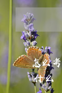 怎么考消防證需要什么條件(消防證考取需要什么條件)