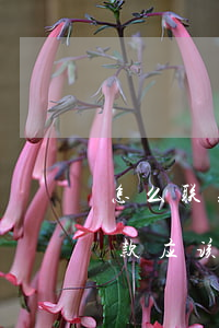 怎么联系银行协商还款的人-去银行协商还款应该怎么说找哪位