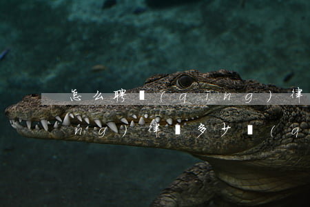 怎么聘請(qǐng)律師(一般聘請(qǐng)律師多少錢(qián))