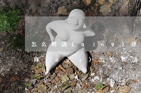 怎么聘請(qǐng)律師團(tuán)隊(duì)(怎么聘請(qǐng)私人律師)