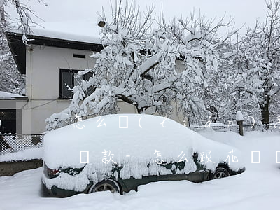 怎么聯(lián)系花唄協(xié)商還款-怎么跟花唄協(xié)商還款