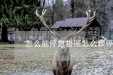 怎么能停息掛賬（怎么談停息掛賬）