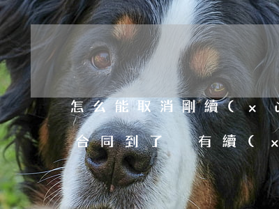 怎么能取消剛續(xù)簽的勞動合同(勞動合同到了沒有續(xù)簽)