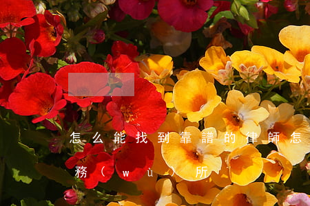 怎么能找到靠譜的律師(怎么找靠譜的律師事務(wù)所)
