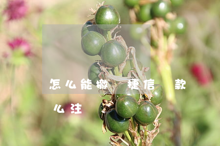 怎么能撤銷捷信貸款記錄(捷信貸款還清了怎么注銷賬戶)