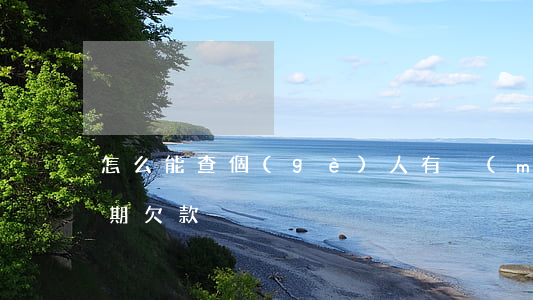 怎么能查個(gè)人有沒(méi)有逾期欠款