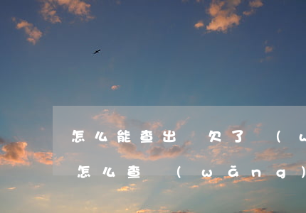 怎么能查出來欠了網(wǎng)貸多少錢(怎么查網(wǎng)貸一共欠多少錢)