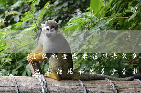 怎么能查出来信用卡欠多少金额-怎么能查出来信用卡欠多少金额呢