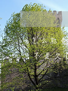 怎么能查出欠的網(wǎng)貸(怎么查是不是欠網(wǎng)貸)