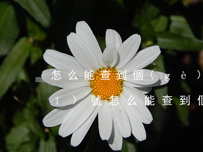 怎么能查到個(gè)人信息(通過手機(jī)號怎么能查到個(gè)人信息)