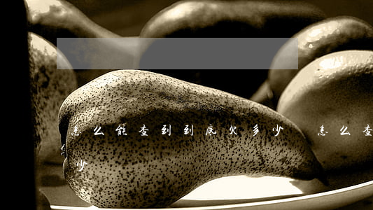 怎么能查到到底欠多少錢(怎么查詢自己欠多少錢)