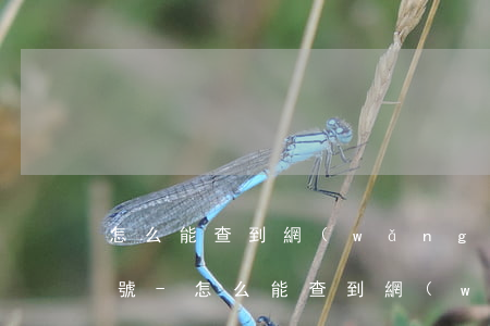 怎么能查到網(wǎng)貸公司的還款帳號-怎么能查到網(wǎng)貸公司的還款帳號信息