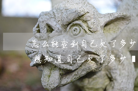 怎么能查到自己欠了多少網(wǎng)貸(想知道自己欠了多少網(wǎng)貸怎么查詢)