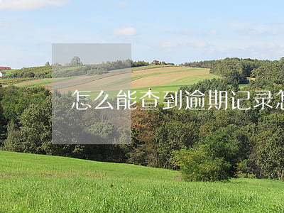 怎么能查到逾期记录（怎么查自己的逾期记录）