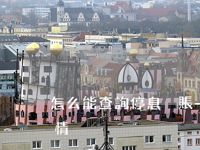怎么能查詢停息掛賬-怎么能查詢停息掛賬情況