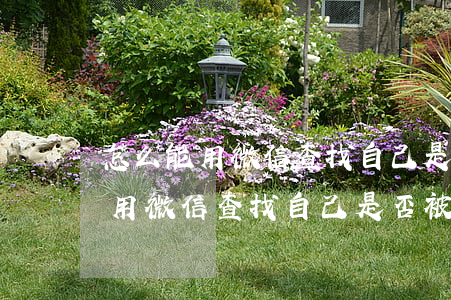 怎么能用微信查找自己是否被起訴-怎么能用微信查找自己是否被起訴了