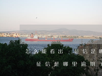 怎么能看出來征信是哪里逾期了(怎么能看出來征信是哪里逾期了)