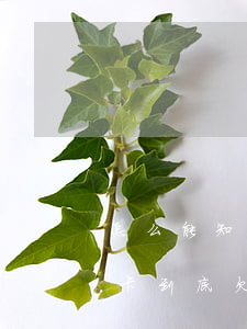 怎么能知道信用卡欠多少錢(怎樣才知道信用卡到底欠了多少錢)