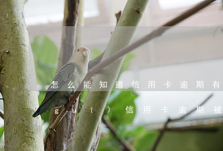怎么能知道信用卡逾期有沒有被起訴（正規(guī)信用卡逾期被起訴會怎么樣）