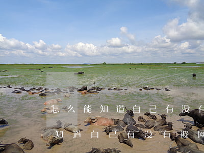 怎么能知道自己有没有被网贷起诉-怎么能知道自己有没有被网贷起诉呢
