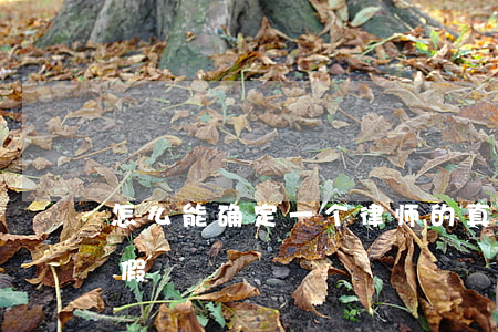 怎么能确定一个律师的真假(怎么辨别律师真假)