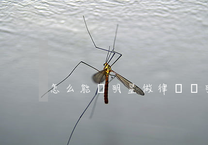 怎么能給明星做律師(為明星做律師)