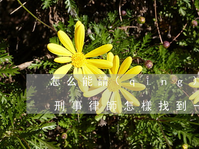 怎么能請(qǐng)到一個(gè)好的刑事律師(怎樣找到一個(gè)好的刑事律師)